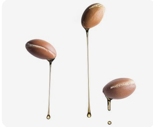 HYDROLYZED JOJOBA PROTEIN