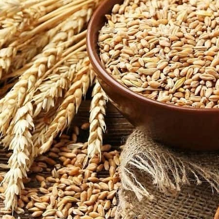 HYDROLYZED RICE BRAN PROTEIN
