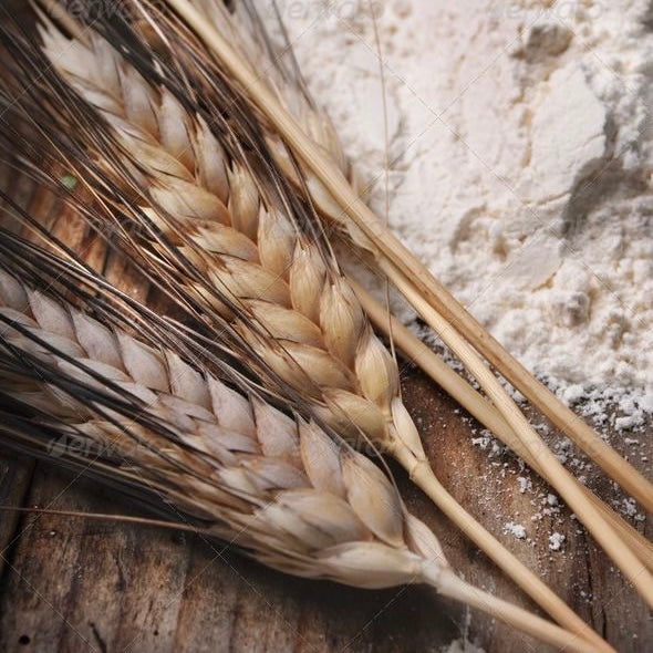 HYDROLYZED WHEAT PROTEIN