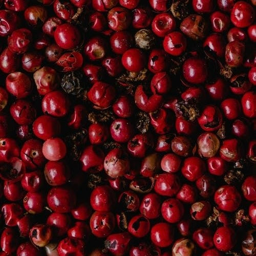 ROSEHIP OIL