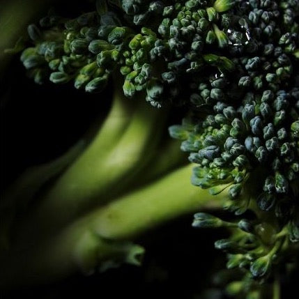 Broccoli