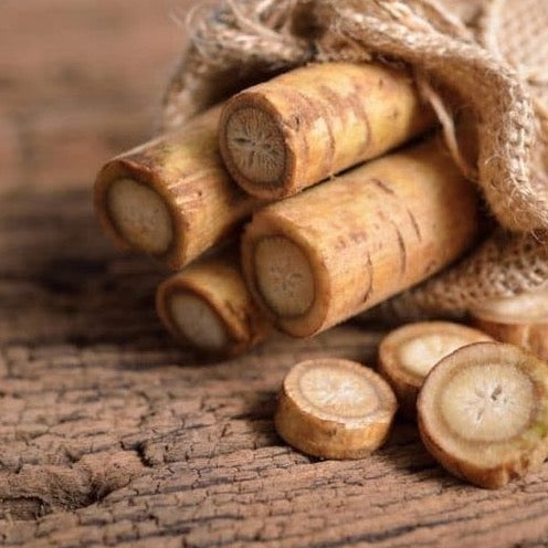 Burdock Root