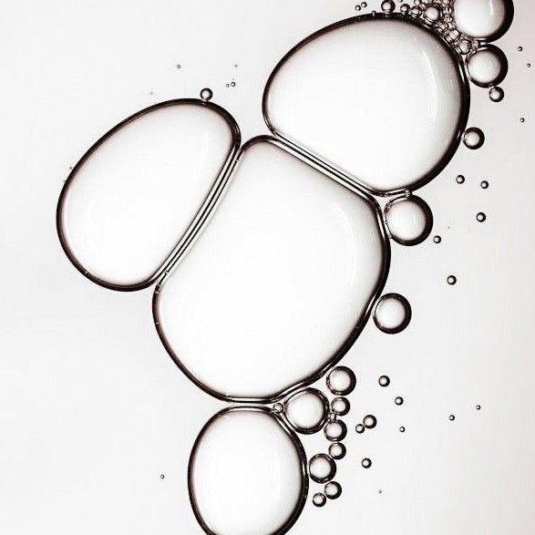 Hydrolyzed Collagen