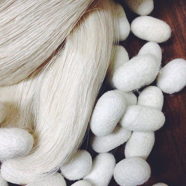 Hydrolyzed Silk