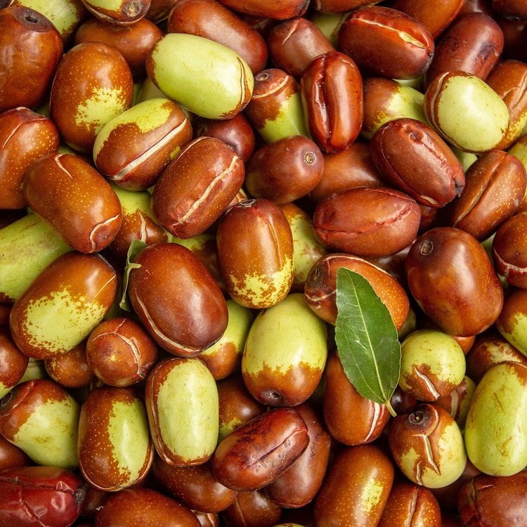 Jojoba Seed Oil