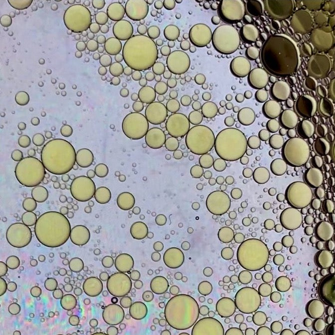LACTOBACILLUS FERMENT LYSATE