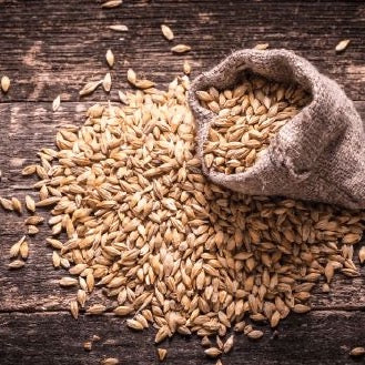 Malt