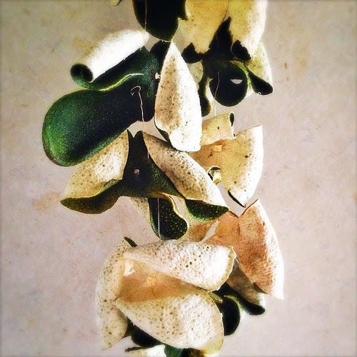 Satsuma Peel