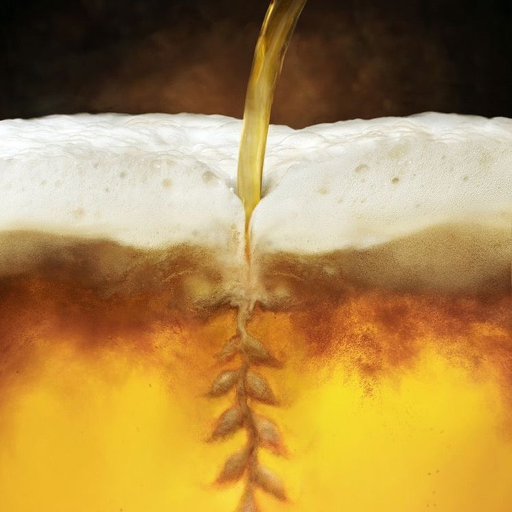 wonders-beer-yeast__PID:e52f64c8-2819-423a-926e-fa1006742126